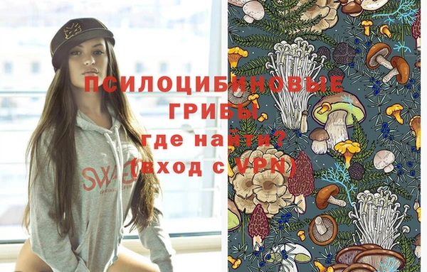 прущие крисы Алексин