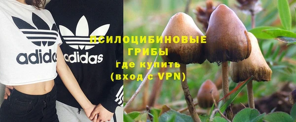 a pvp Киров