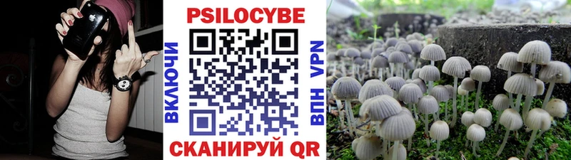 Псилоцибиновые грибы Psilocybe  ссылка на мегу как войти  darknet как зайти  Бахчисарай 